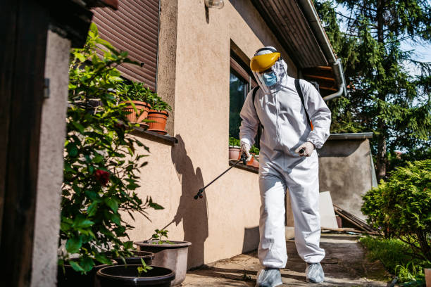 Best Best Pest Control Companies  in Rosendale, WI