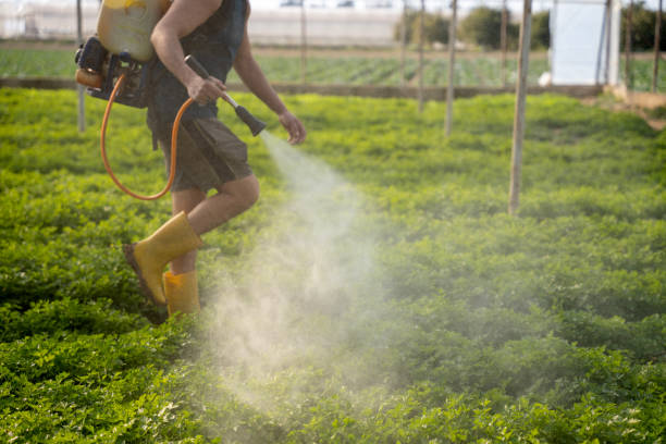 Best Affordable Exterminators  in Rosendale, WI