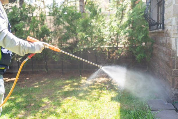 Best Emergency Pest Control  in Rosendale, WI